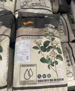 10-50-10 Tây Ban Nha Tạo Mầm Hoa Đồng Loạt – Kích Thích Ra Hoa